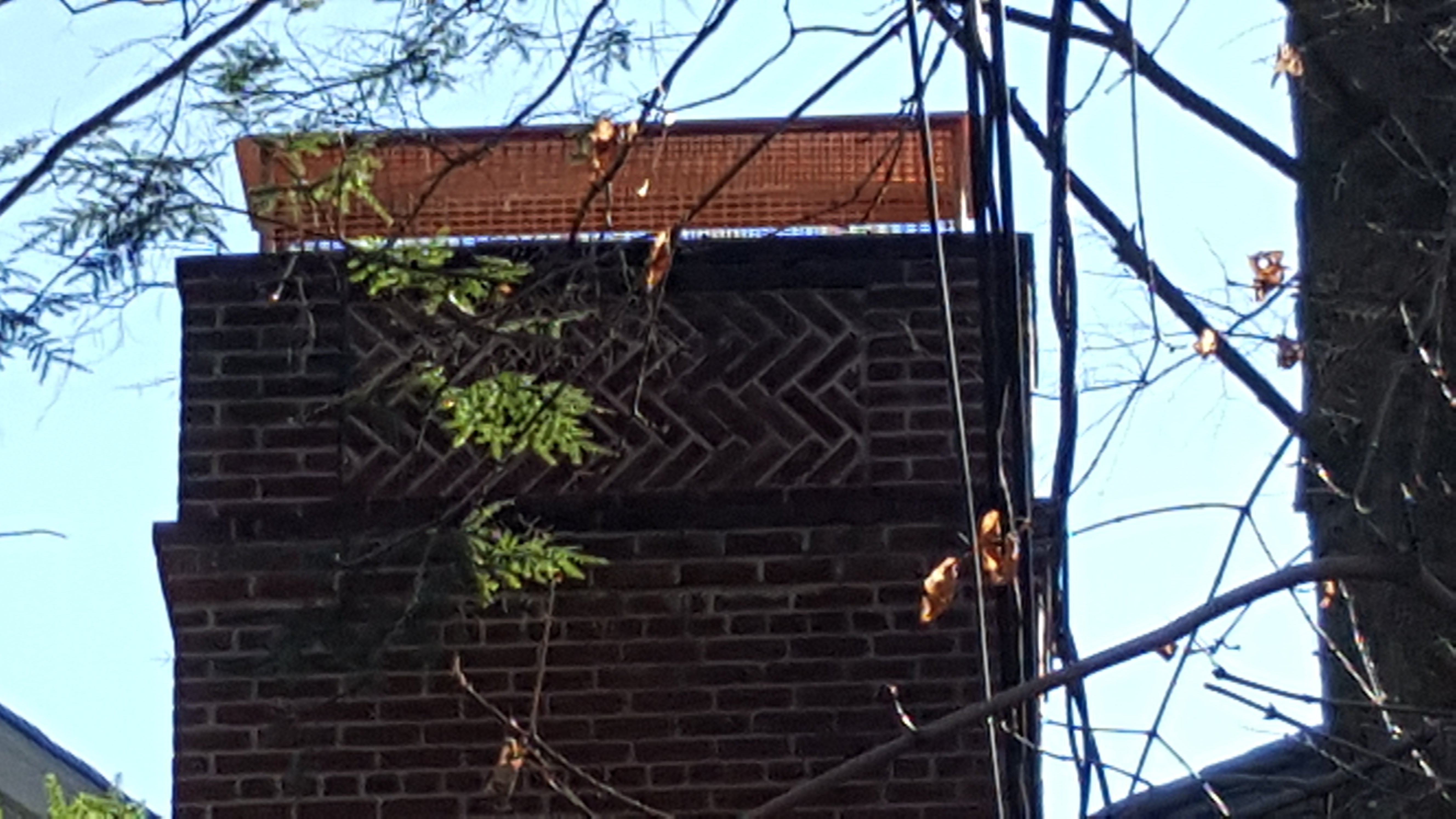 Animal-proof chimney cap protecting home in Wantagh, New York